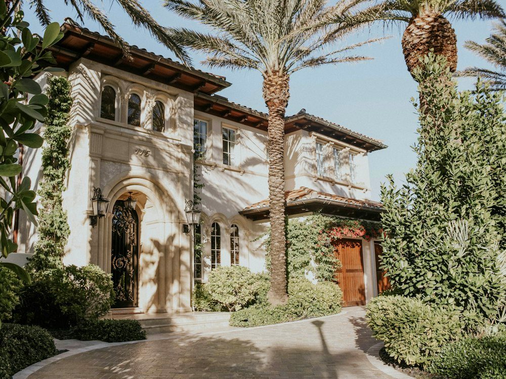 A mature villa garden with palms and landscaped paths