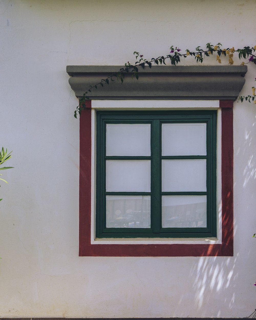 A traditional Canarian window framed by bougainvillea on a whitewashed wall